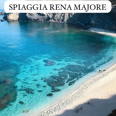 Rosa Con Piscina Privata スティンティーノ